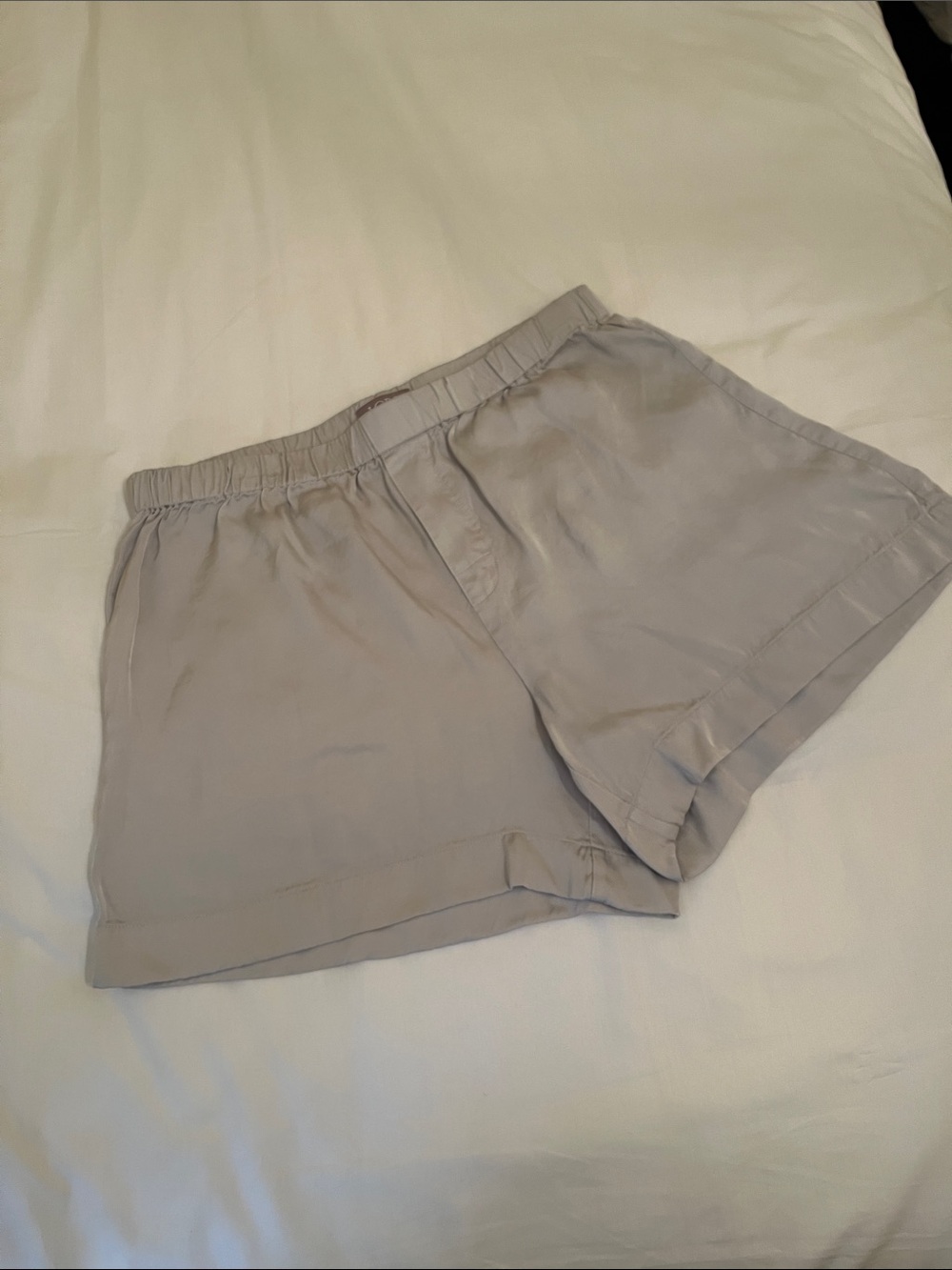 Jcrew Silk Style Silver Boxer Lounge Shorts Size Small